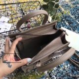 CELINE Nano Luggage Beige